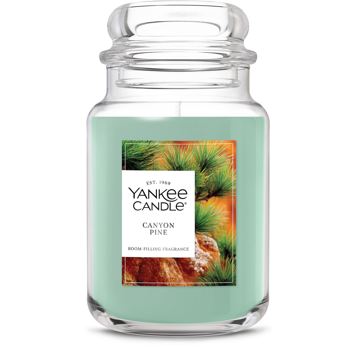 Canyon Pine Studio 3-0843