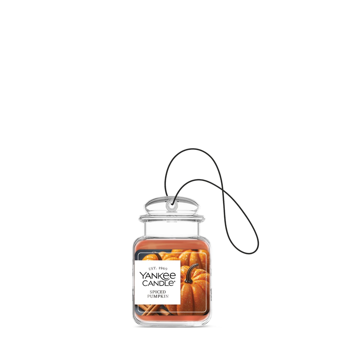 Spiced Pumpkin Blend 3-0777